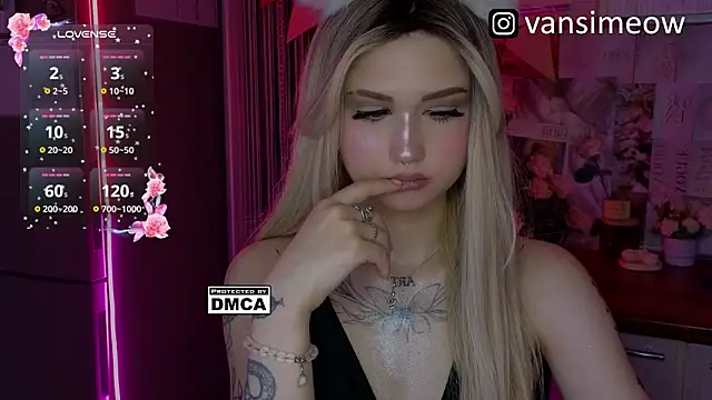 vanxli's Webcam Show