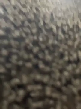 SweetCuteGirls1023's Live XXX Chat