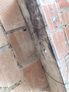 chaparritahot99のウェブカメラショー