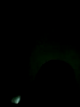 laviedavi's Live XXX Chat