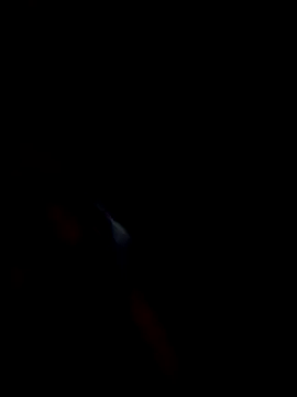 dolphiinn Adlı Modelin Web Kamerası Şovu