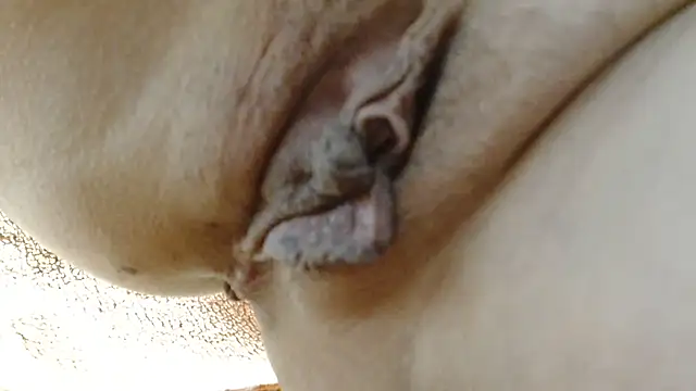 Chat +18 de sonyx ao vivo