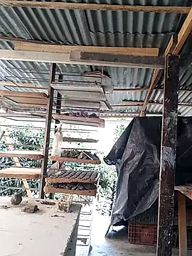 hoteder's Webcam Show