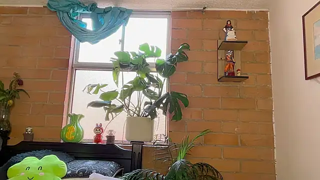 Andy_Belier23n Webbikameraesitys