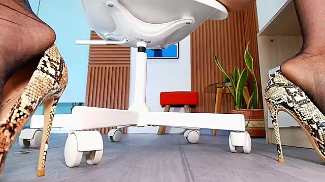 Czat XXX na żywo – sweet_mile