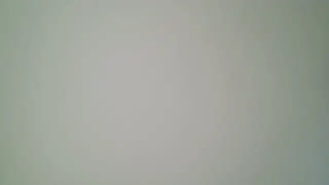 Mushroom83 – Kamerová šou