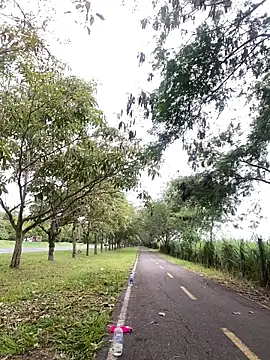 Maicol_xxxx webkamerás műsora