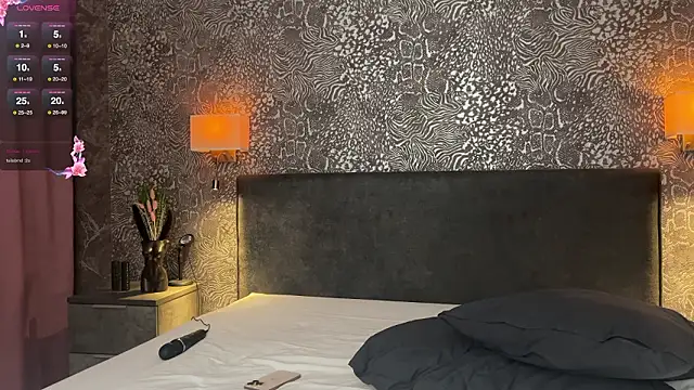 Show Webcam de Nellris