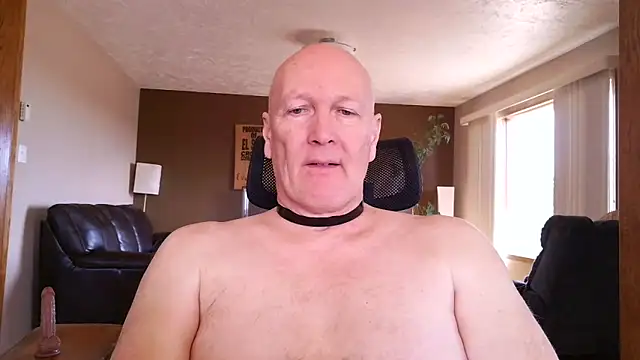 BasicAnt Webcam-Show