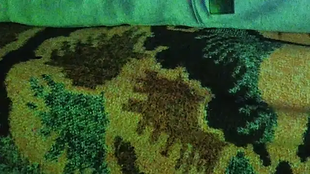 XXX chat uživo modela cumloverboyxx69