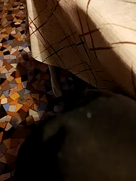 Hgay6935 Adlı Modelin Canlı XXX Sohbeti