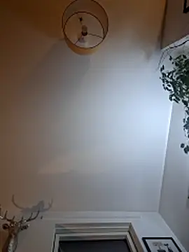 Ebony-SultryX Webcamshow