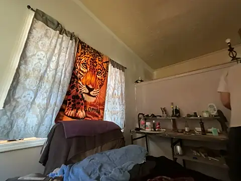 Show webcam de ThrowedWorldWide