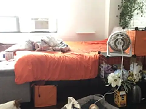 littyleesh1's Live XXX Chat