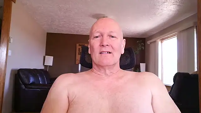 BasicAnt Show in webcam