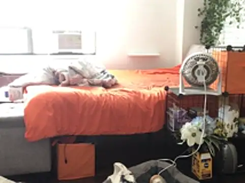 littyleesh1 Live XXX-Chat