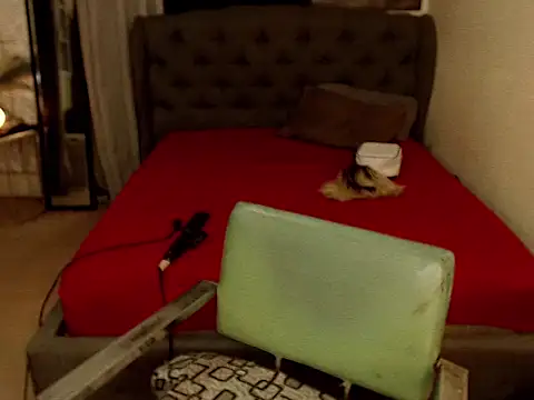 GODDESSxBELLA: онлайн-секс-чат