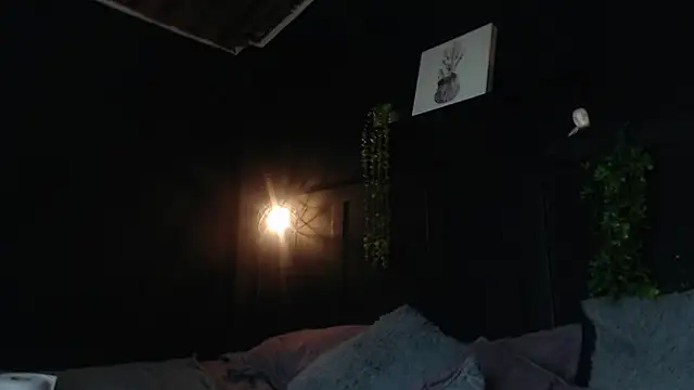 aurora__johanssonn Webbikameraesitys