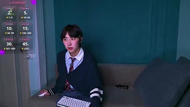 HeejinWang Webcam Show