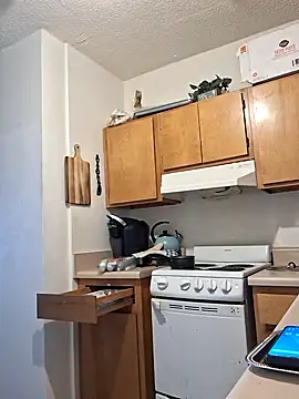 ReallyReallyReal 웹캠 쇼