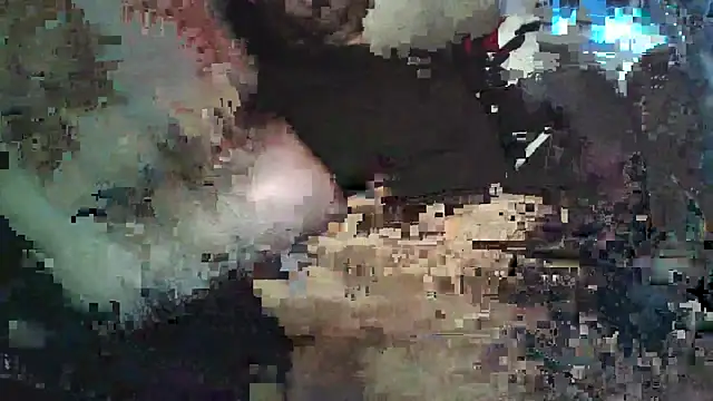 KungFuPanda001 Show in webcam