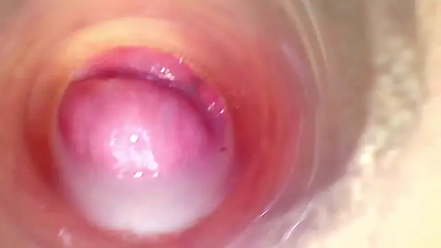 Show Webcam de karol_kane