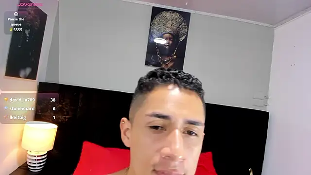 _Alan_Walker_1 Show in webcam