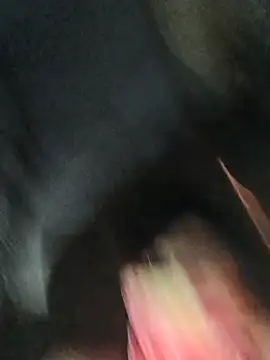 babu_bull webkamerás műsora