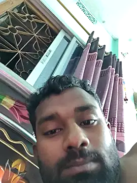 dasicapall Pertunjukan Webcam