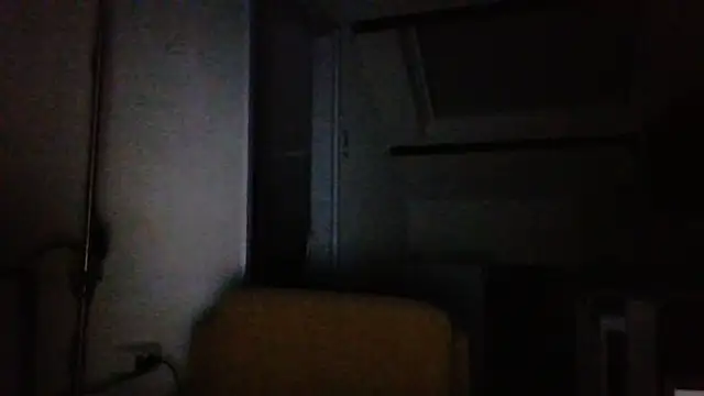 Bizzyjustin webcam show