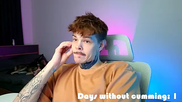 DENIS_HERE 웹캠 쇼