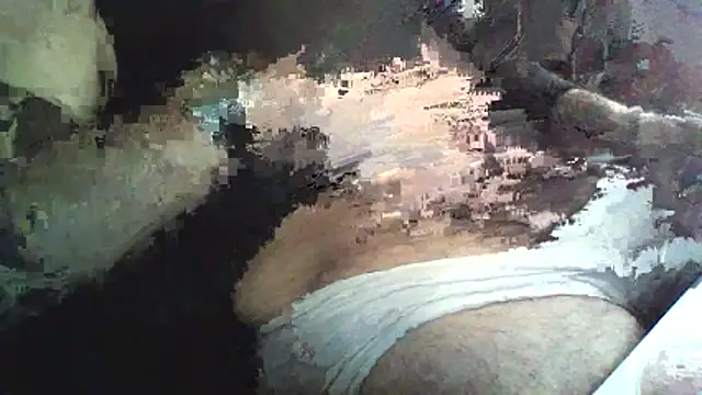 Pertunjukan Kamera Web KungFuPanda001