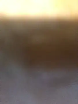 AnitaTenchi1 Adlı Modelin Canlı XXX Sohbeti