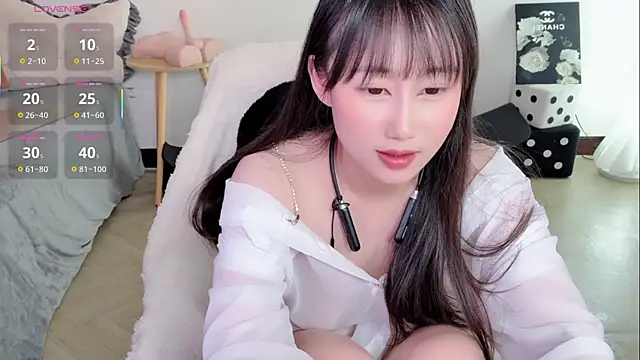 BoxedGyre- 网络视讯表演