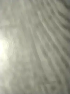 ع رض كام jellydicks