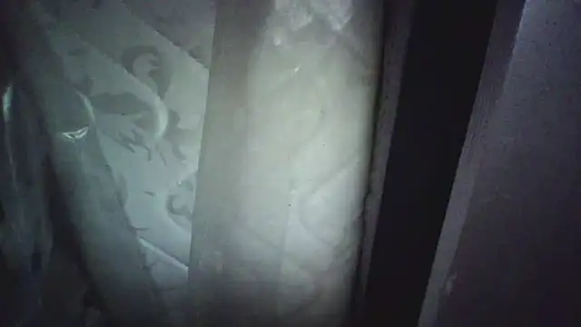 KungFuPanda001 Chat XXX live