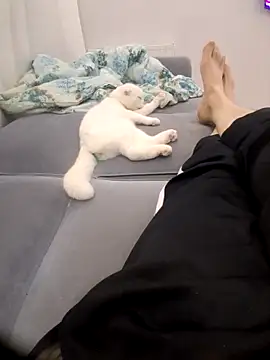 510915asi লাইভ XXX চ্যাট