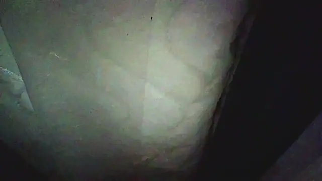 KungFuPanda001 Chat XXX live