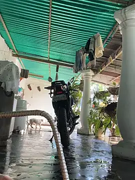 Daiki_Jack Chat XXX in diretta