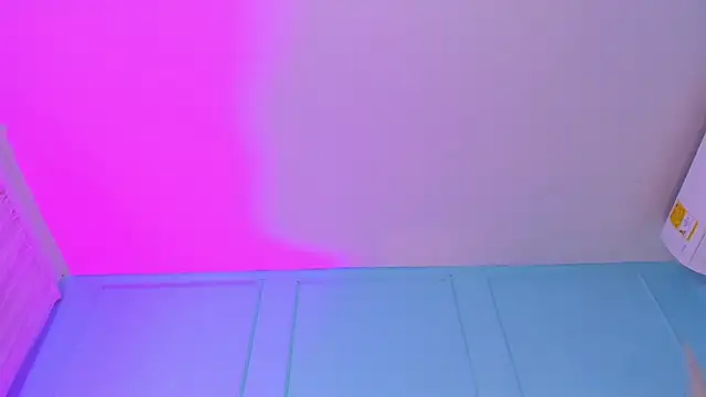 Cheys_Mastn Webbikameraesitys