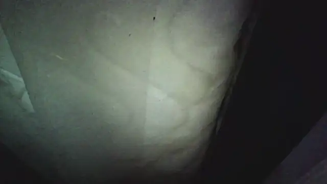 KungFuPanda001 Show in webcam