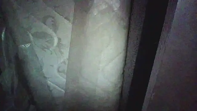 Webkamerová show KungFuPanda001