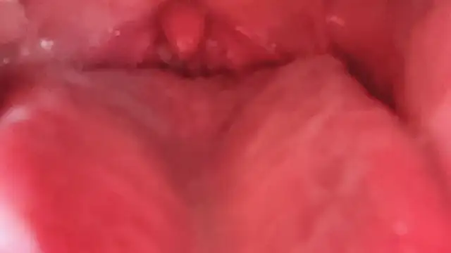 donghuangtaiyi--- 网络视讯表演