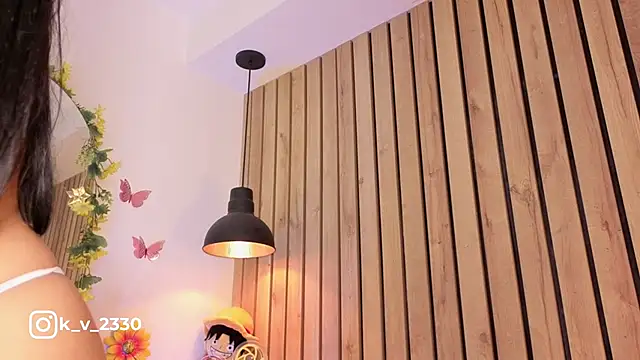 sofiesoft Chat XXX live