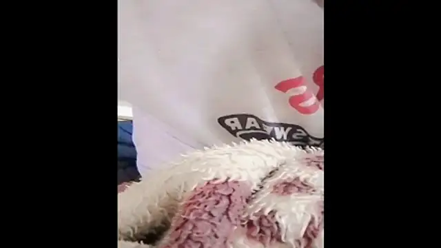 ammsexy1 webcam show