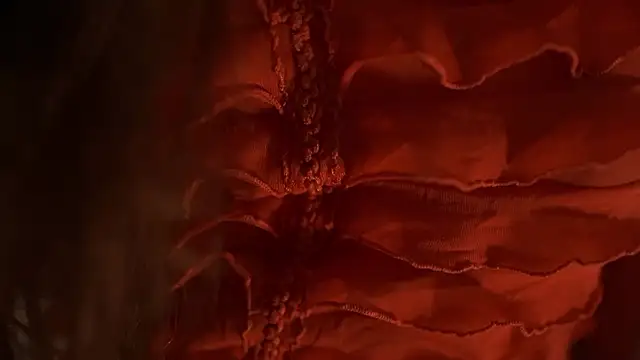 Czat XXX na żywo – Weeissy