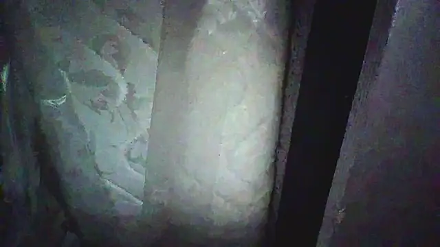 Вебкам-шоу KungFuPanda001