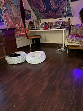 SuzyCatzz Live XXX-Chat