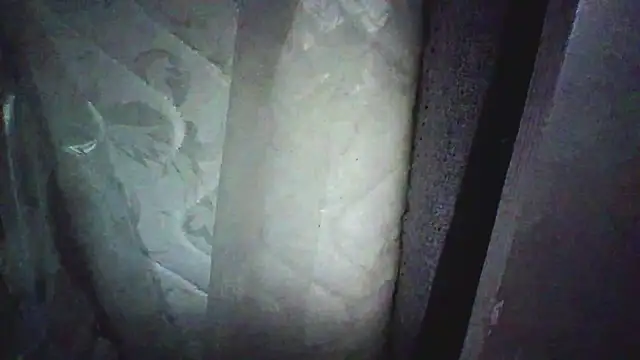 Show webcam de KungFuPanda001