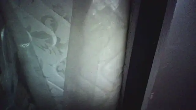 KungFuPanda001 现场XXX聊天